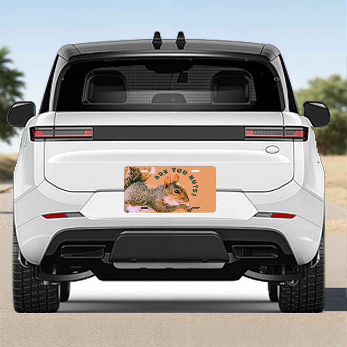 Are You Nuts? Funny Squirrel Car Aluminum License Plate (Made in USA)