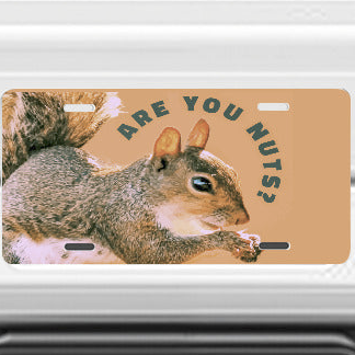 Are You Nuts? Funny Squirrel Car Aluminum License Plate (Made in USA)
